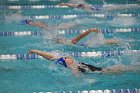 Swim vs Bentley  Wheaton College Swimming & Diving vs Bentley University. - Photo by Keith Nordstrom : Wheaton, Swimming & Diving